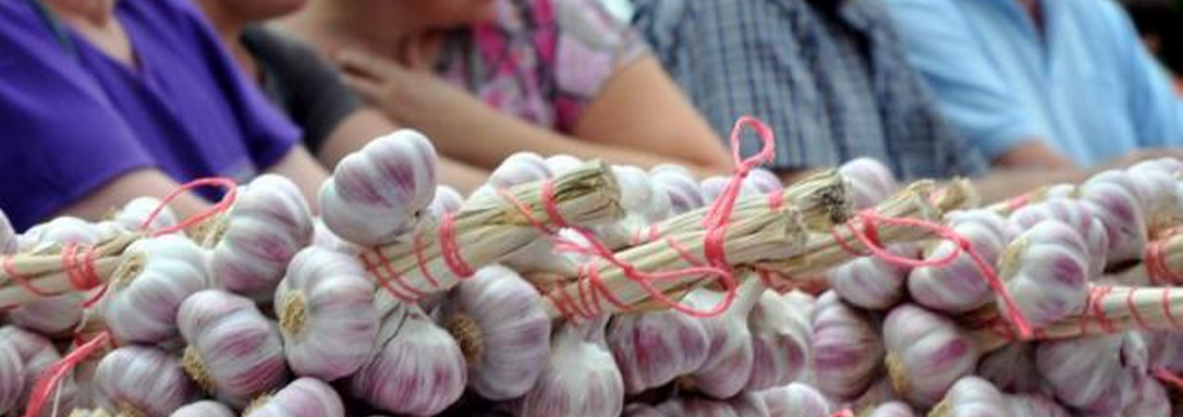 Fête de l’ail rose et fête du pain : un été gastronomique à Lautrec