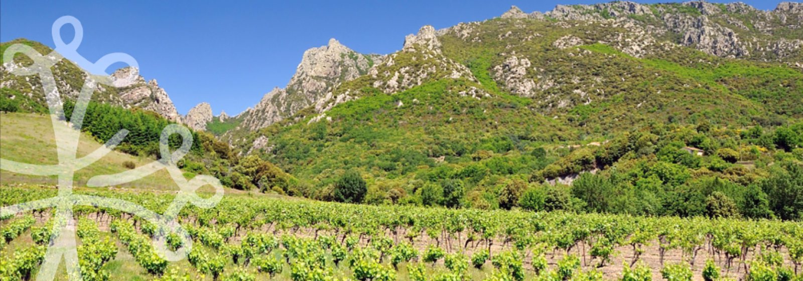 Le Parc Naturel Régional du Haut Languedoc