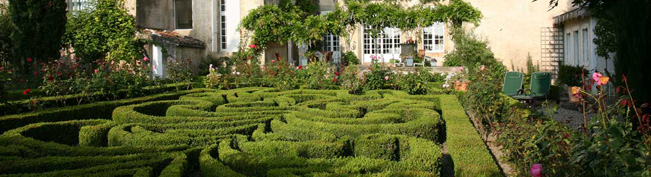 La taille du buis à la Terrasse de Lautrec