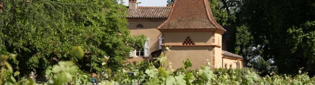 Honneur aux vins de Gaillac – Guide Hachette 2014